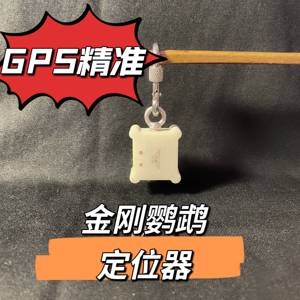 信鸽山鸦定位器脚环鸟类gps宠物大金刚追踪器抗咬鹦鹰鹉gps定位器