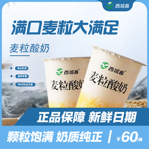 新疆西域春麦粒低温酸奶燕麦有益菌营养丰富180ml