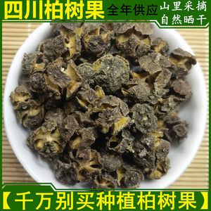 puqinglanzcgj淘宝果实100目特细柏子仁柏树果粉小