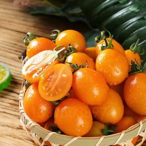 黄金圣女果小西红柿现摘福建新鲜蔬菜樱桃小番茄非千禧小柿子