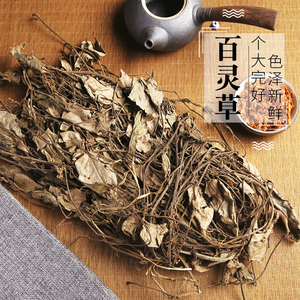 李旺发 百灵草沙县小吃香料炖灌用配料炖汤煲汤 干货500g特产特色