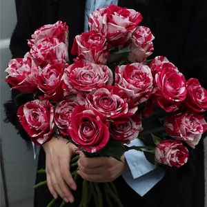 美花美家幸运女神红玫瑰水瓶座水养鲜花速递顺丰鲜花云南直发