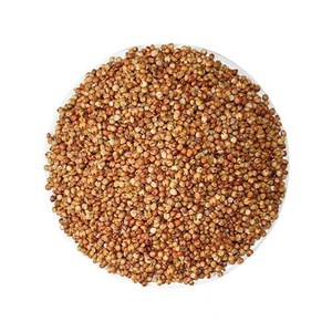 【笤帚高粱种子】红樱子 扫帚红高粱种子 牧草 庭院绿化 扫帚种子