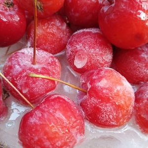 东北冻梨冻柿子新鲜速冻花红果冻花红海红果小沙果孕妇酸甜包邮果