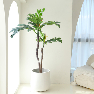 大型盆栽植物室内客厅真树