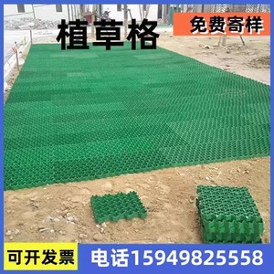 抗压塑料草坪砖护坡网格加强植草格停车场运动场城市小区绿化种植