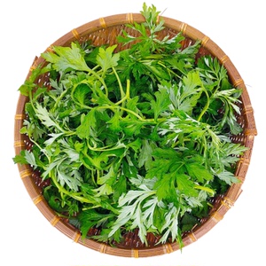 艾草 新鲜蔬菜当季食用生艾草叶艾蒿清明草糍粑艾粄青团嫩艾叶