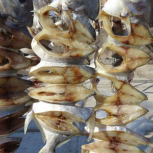 干鱼干货 鱼干 农家自制广东特产天然淡晒金鲳鱼鱼干海鲜干货海产