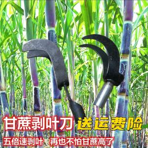 甘蔗剥叶机削甘蔗叶神器砍甘蔗专用剥叶刀修甘蔗刮叶子神器多功能