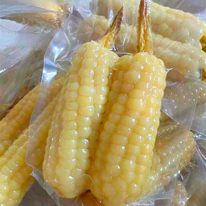 云南西双版纳拇指小玉米迷你白糯玉米老品种袖珍手指香糯玉米代餐