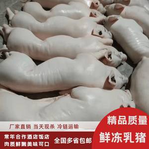 冰冻小乳猪