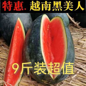 9斤整个广西黑美人西瓜新鲜当季孕妇水果红瓤薄皮甜瓜整箱10包邮