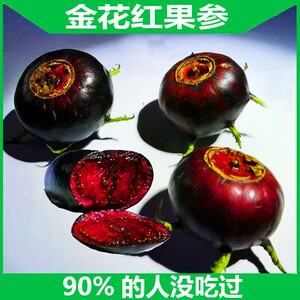 稀有水果金花红果参果中人参应季水果孕妇老人特殊新型水果125g