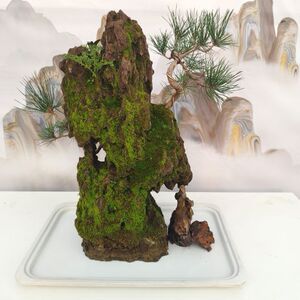 松皮石一物一拍