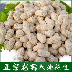 正宗龙岩大池花生水煮湿烤福建特产闽西香脆咸酥原味婚庆休闲食品