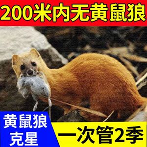 驱黄鼠狼神器防黄鼠狼克星驱赶器灭黄鼠狼的药老鼠特效药超强力抓
