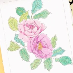 儿童素描画册临摹儿童美术基础入门中国画白描画谱底稿涂色临摹3
