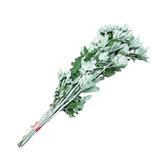 新鲜艾草枝条整颗艾草艾叶长棵艾c叶草端午节挂门上整把全株叶驱