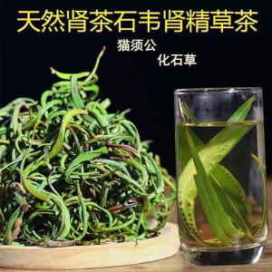 肾阳草