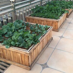 菜园种植箱槽楼顶屋顶阳台种菜盆长方形防腐木花盆养殖箱包邮