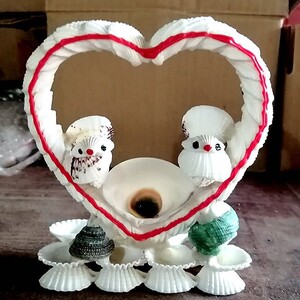 海螺贝壳工艺品摆件 儿童手工diy作业 创意女生日礼物