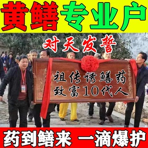 悟空卖玩具淘宝鳝鱼诱食剂黄鳝诱饵泥鳅药专用鲶鱼黄辣丁龙虾诱捕王