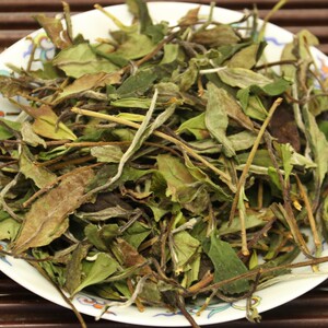 周宁高山云雾茶福建荒野白茶白露寿眉散茶味道醇厚日晒干仓茶叶