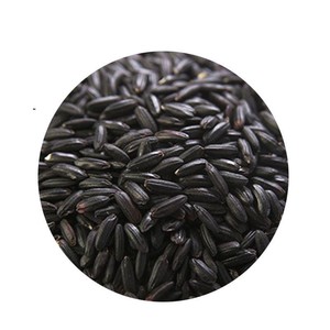 正宗黑旱稻稻种子圆粒糯稻黑谷种子黑稻谷水稻种子糯米黑旱稻种籽