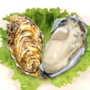 生吃海鲜刺身生蚝
