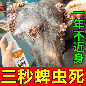 防蜱虫喷雾去猫狗身上大面积灭跳蚤专用药杀跳蚤去虱子灭蜱虫喷剂