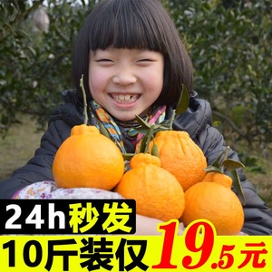 四川丑橘不知火新鲜10斤大果水果整箱丑八怪蒲江粑粑丑柑桔