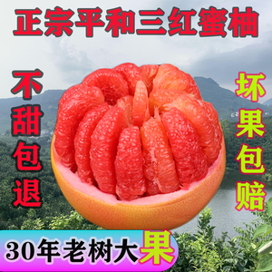 福建平和琯溪三红蜜柚9斤当季新鲜水果红心柚子葡萄柚现摘整箱包