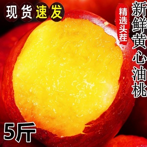 黄心油桃5斤新鲜当季水果整箱孕妇蜜脆甜桃子应季大水密桃包邮10