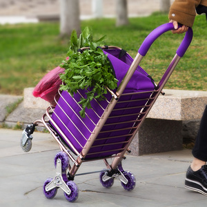 老年人买菜购物手拉车