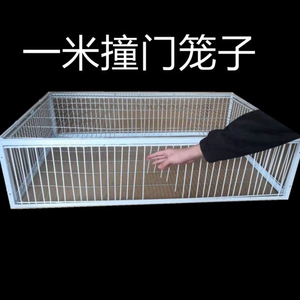 捕野鸽子神器信鸽天落笼加密只进不出野外活络撞门笼抓鸽子陷阱笼
