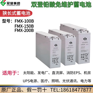 双登狭长铅酸蓄电池6-FMX-150B12V150AH100AH200AH机房变电站太