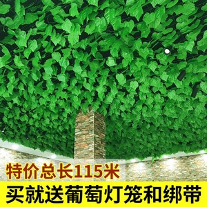 植物吊顶叶绿藤条格栅藤蔓装饰花藤塑料绿叶格栅树叶假花葡萄仿真