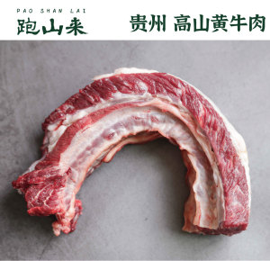 跑山来贵州黄牛肉牛腩500g 整切鲜切牛腩牛坑腩炖牛腩