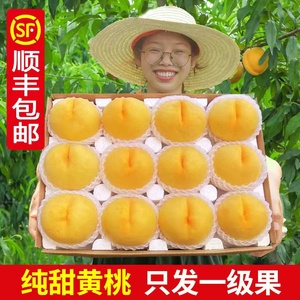 现摘正宗蒙阴黄桃5斤新鲜水果桃子当季孕妇蜜桃毛桃山东特产大果6