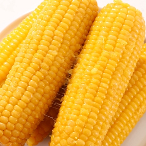 秋天的味道/新鲜熟黄糯玉米超嫩大棒内蒙现摘脂肥真空减非转低餐