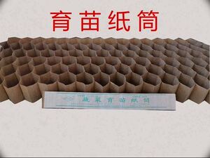 苗木温室大棚秧苗纸甜菜填土一次性移植个性营养盆纸管育苗器花盘