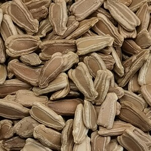 tb487126868淘宝手捻葫芦种籽 八宝大酒亚腰手捻瓢文玩葫芦种子