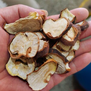 娑罗子250g中药材干货娑罗子片 梭罗子 婆罗子 桫椤果 梭罗果包邮