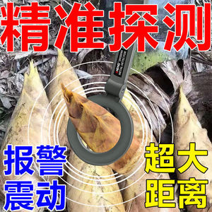 挖竹笋探测器