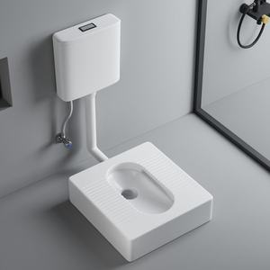 00lukook旗舰店天猫罗柏新款明装蹲坐两用一体式蹲便器脉冲蹲坐便器