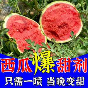西瓜增甜剂甜蜜素肥料水果果树专用肥草莓葡萄瓜果增甜膨大叶面肥