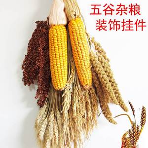 五谷杂粮挂件农家乐农作物装饰摆件玉米道具麦穗水稻干花五谷丰登