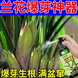 悦芽兰花爆芽剂诗玲坊兰花专用营养液烂根空根茎生根催芽催花液体