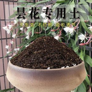 昙花一现专用土盆栽营养土透气配方养花种植土泥土种花土壤有机肥