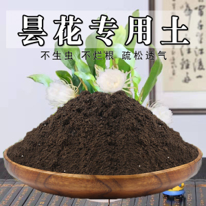 昙花专用土昙花土盆栽土营养土通用种花养花泥土壤种植土有机肥料